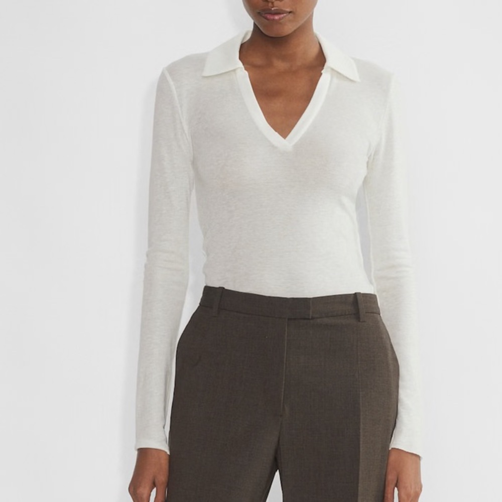 Aritzia babaton Currency Polo Longsleeve top NWT size Small